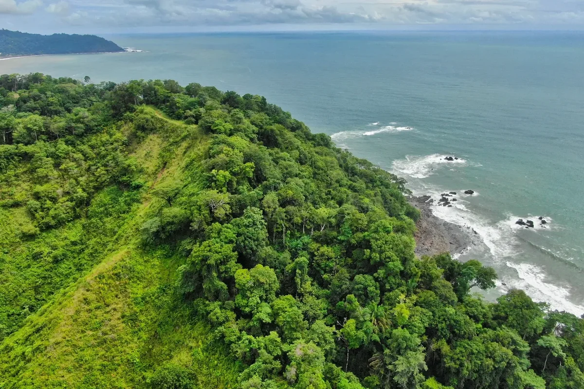 Manuel Antonio National Park Small-Group Naturalist Walk with Spotting Scope